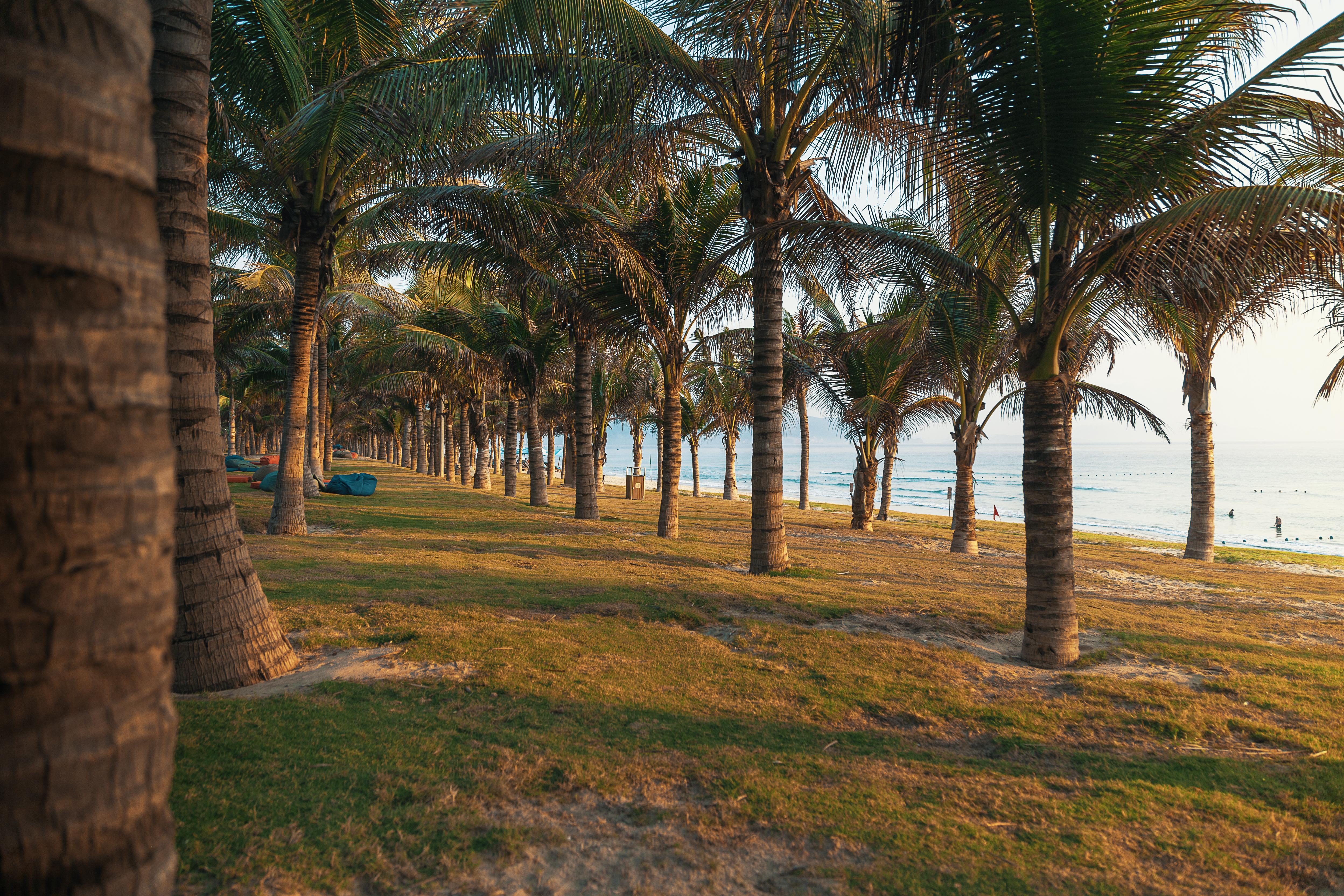 Duyen Ha Resort Cam Ranh Esterno foto